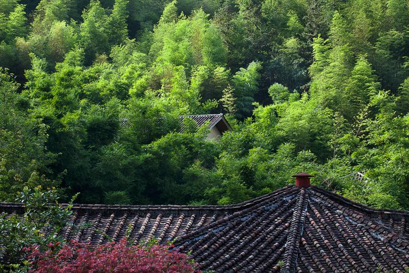 Crosswaters Ecolodge & Spa Lungmen Kültér fotó