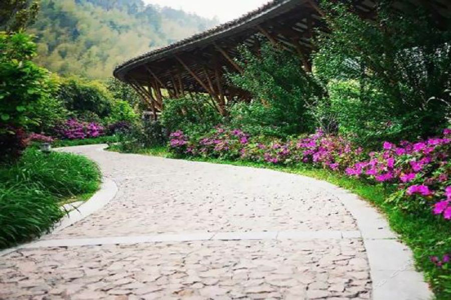 Crosswaters Ecolodge & Spa Lungmen Kültér fotó